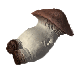 A 3D animation of an anthropomorphic mushroom flailing around on its back (2x speed)